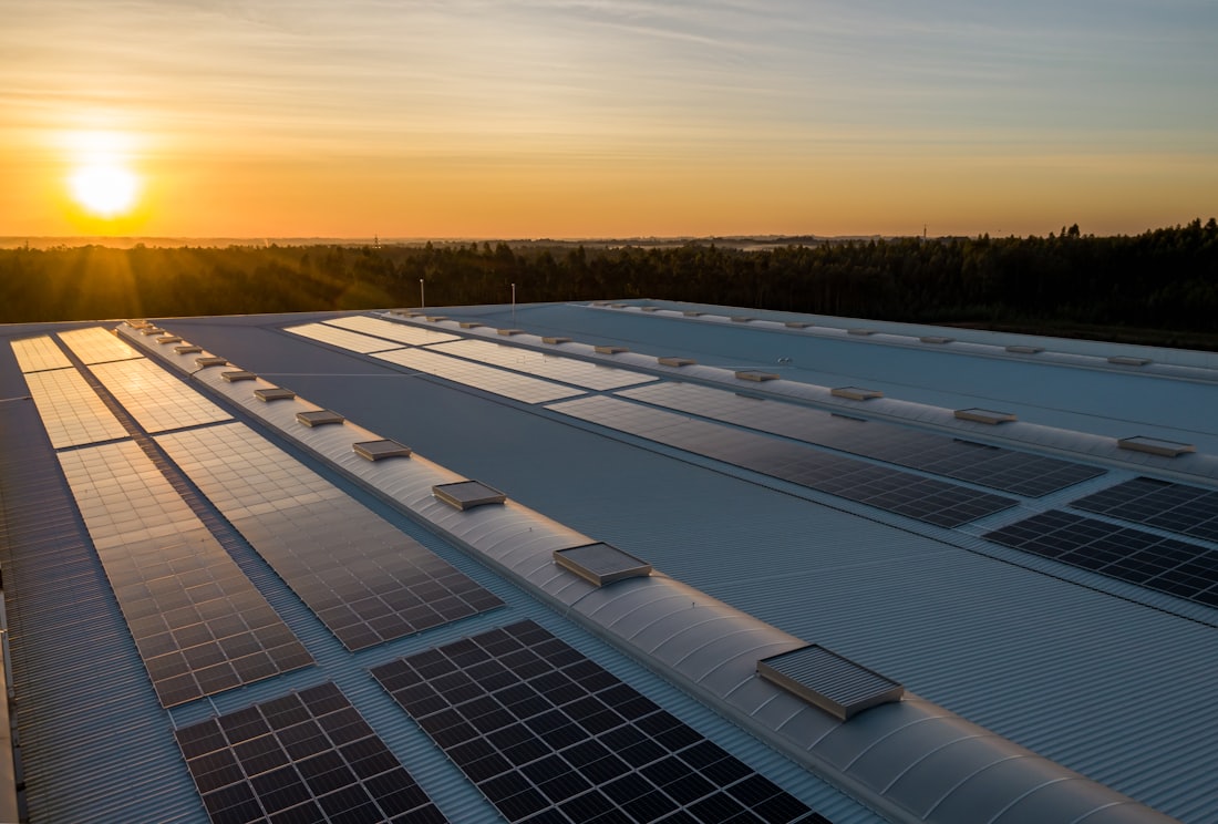 Rooftop solar collector array catching the Tampa sunset